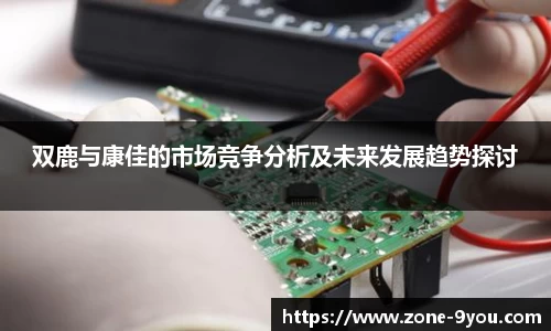 双鹿与康佳的市场竞争分析及未来发展趋势探讨